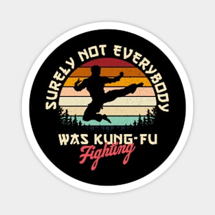 Surely Everybody Was Not Kung Fu Fighting Magnet